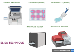 Elisa Definition Principle Procedure Types Steps Applications