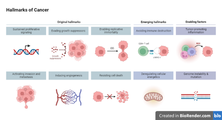 Cancer Definition Types Hallmarks Stages Symptoms Diagnosis