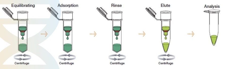 Silica column-based DNA extraction method: