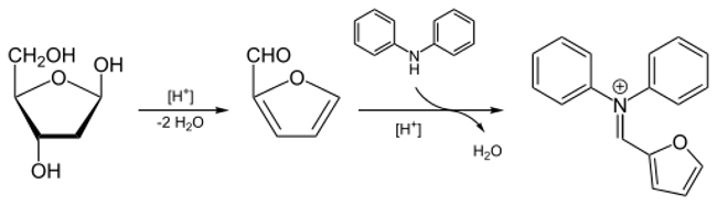 Diphenylamine (DPA)  indicator for DNA detection