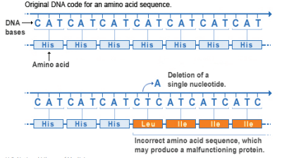 Deletion mutation 