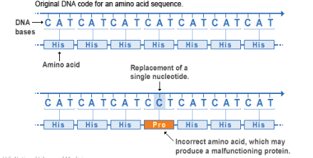 Missense mutation 