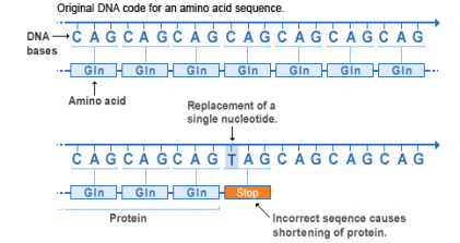 Nonsense mutation