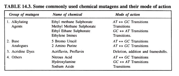 Commonly used chemical mutagens and their mode of action