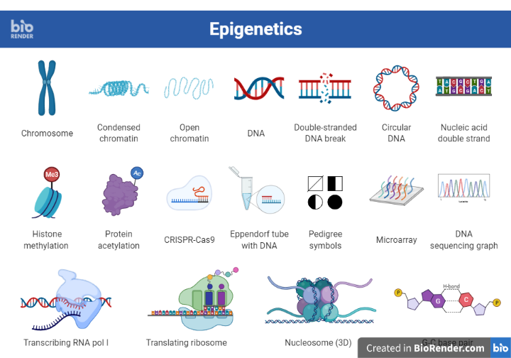 Epigenetics