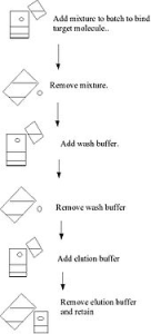 IMMUNOCHROMATOGRAPHY