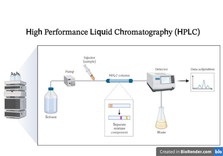 High-performance liquid chromatography (HPLC)