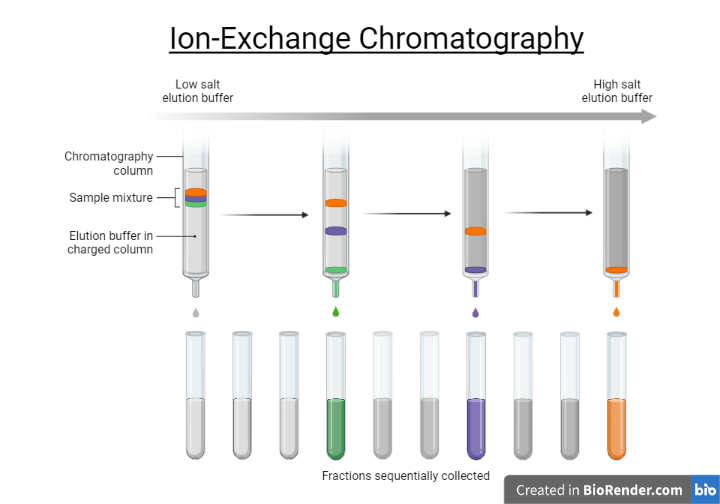  Ion-exchange chromatography