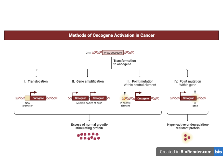 Method of activation of oncogene