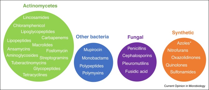 Most clinically relevant classes of antibiotic are derived from natural products.