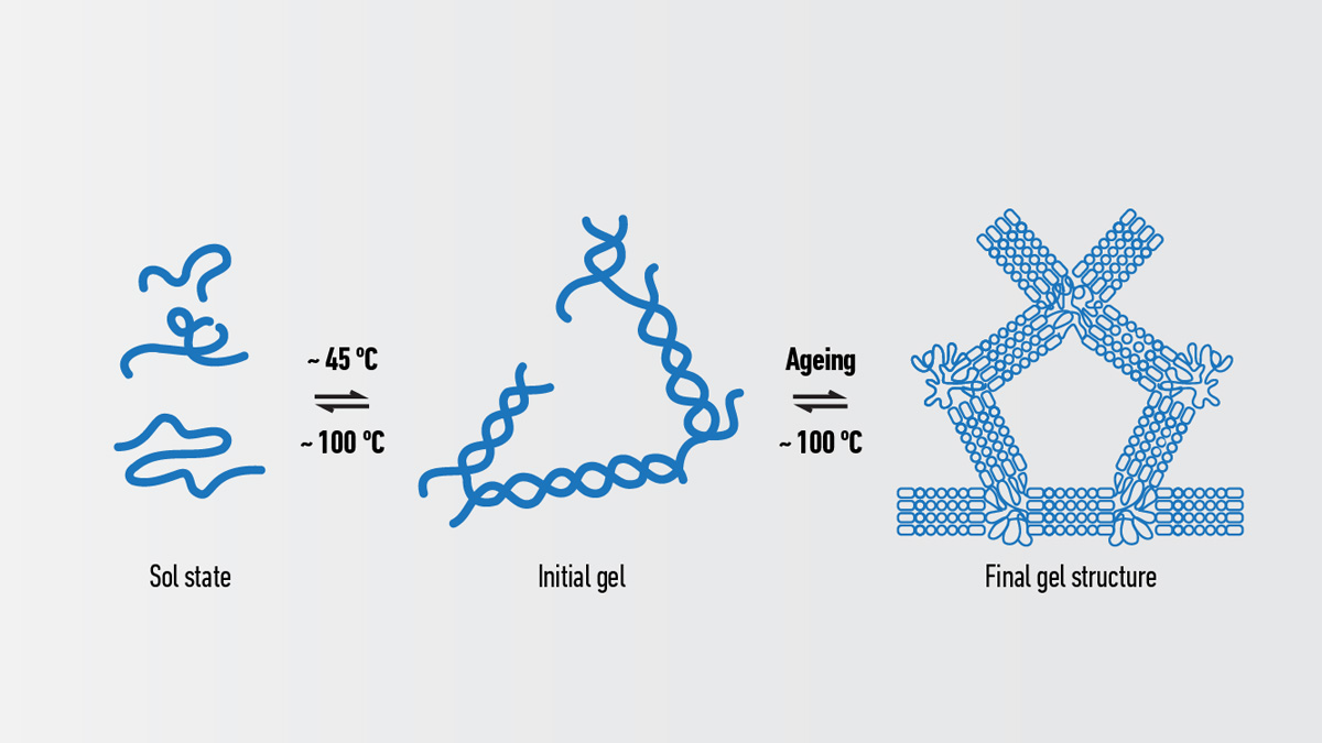 Agarose Gel Electrophoresis- Principle, Types, Components, Steps ...