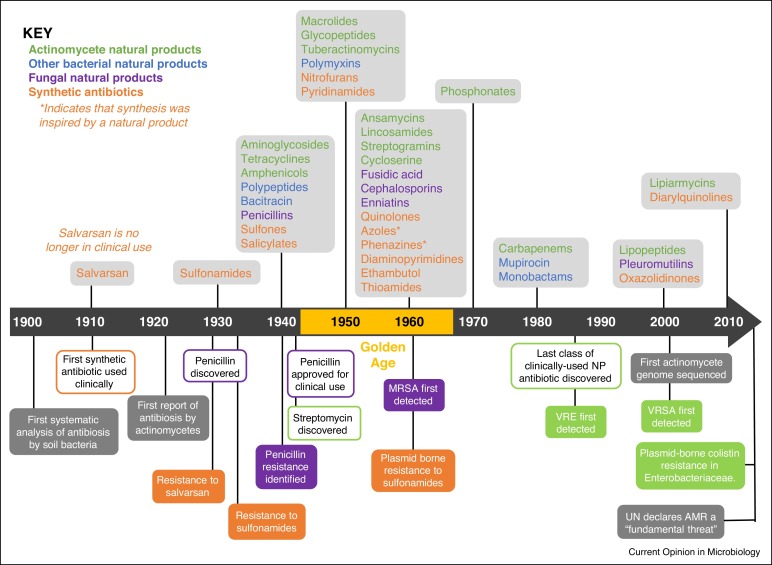 The introduction of antibiotics into clinical use