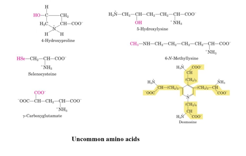 UNCOMMON ACIDS