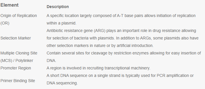 Plasmids- Definition, Properties, Structure, Types, Functions, Examples ...