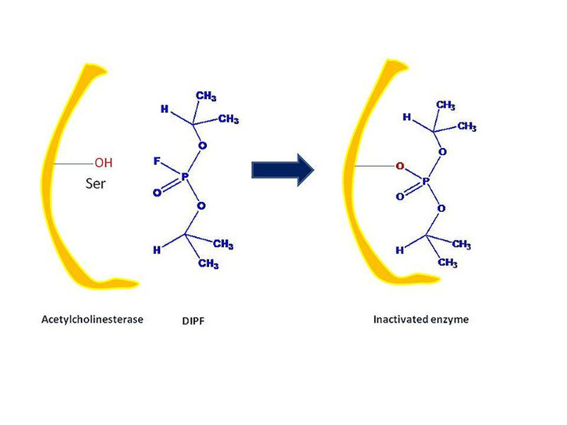 Example of Group-specific reagents types of irreversible inhibitor