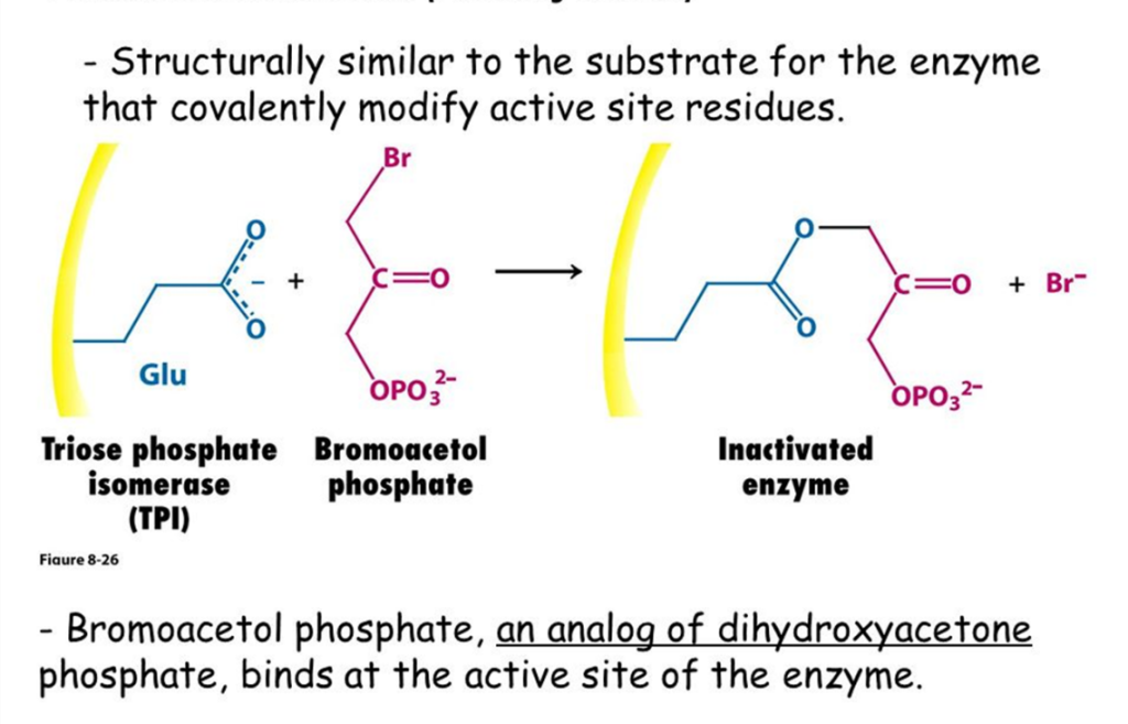 Example of affinity label types of irreversible inhibitor