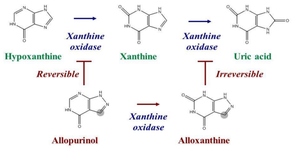 Example of suicide inhibition