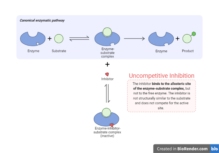 Uncompetitive inhibition