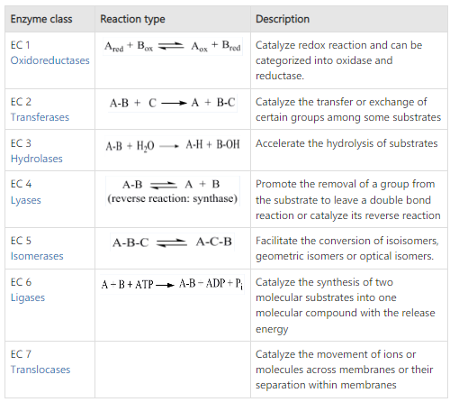 Classification of enzyme