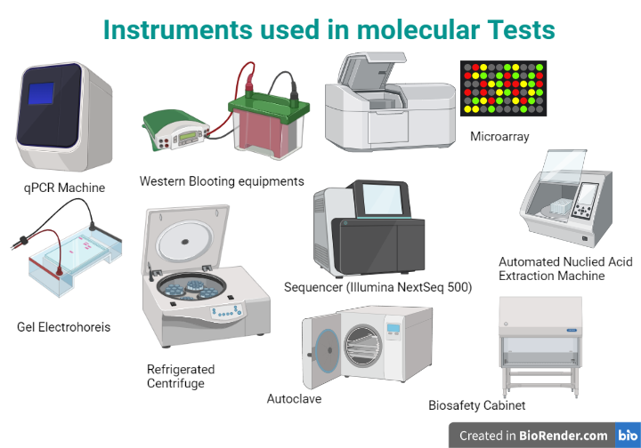 Instruments used in Molecular Diagnostics Tests