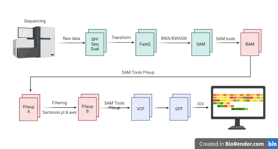 Next Generation Sequencing Data Processing