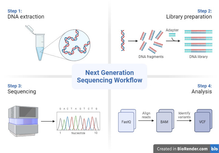 Next Generation Sequencing Workflow