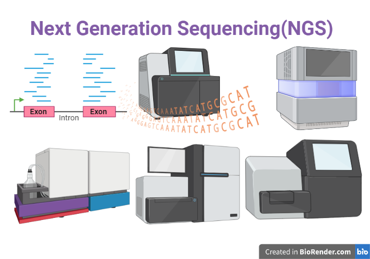 Next-Generation Sequencing (NGS)