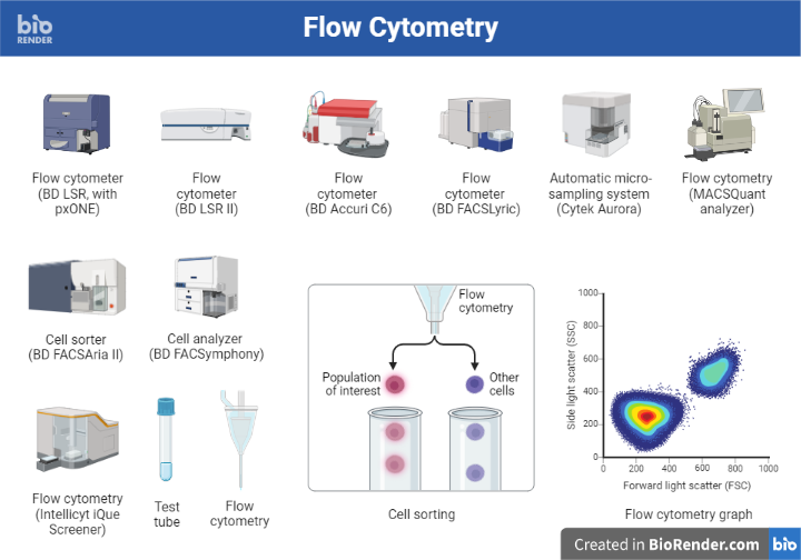 Flow cytometry