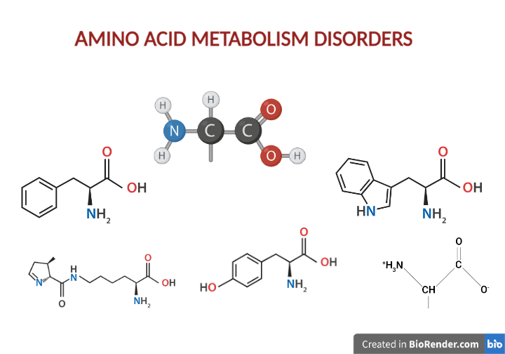 Amino Acid Metabolism Disorders