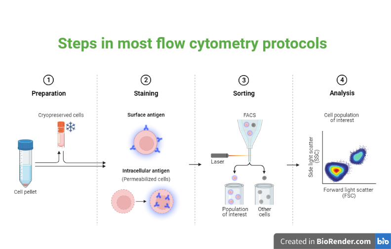 Flow Cytometry Definition Principle Parts Steps Types Uses - Ponasa