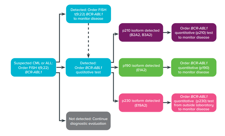 Diagnostic Algorithm