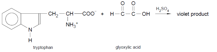 Hopkins-Cole Test