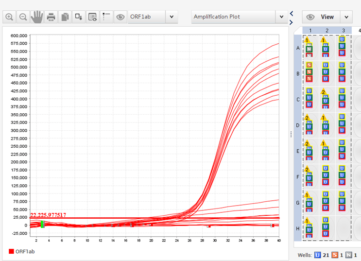 The curve observed in qPCR 