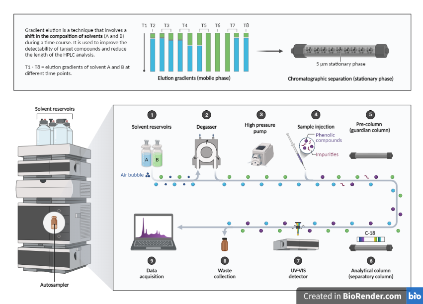 Components and Steps of High-performance Liquid Chromatography (HPLC) Analysis