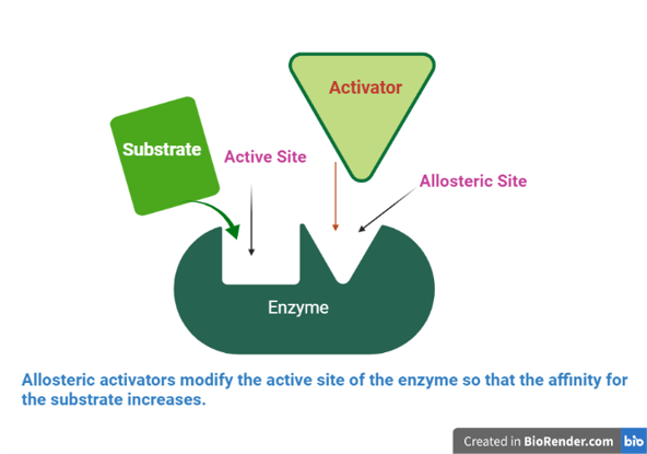 Allosteric Regulation- Definition, Principle, Types, Models ...