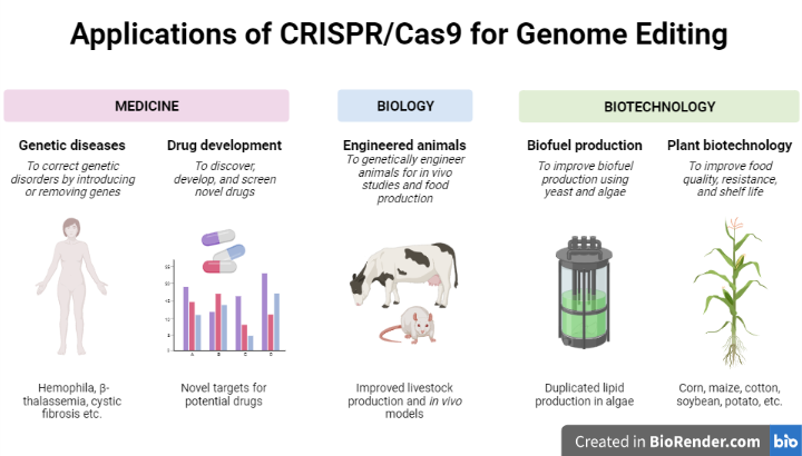 Applications of CRISPR Technology