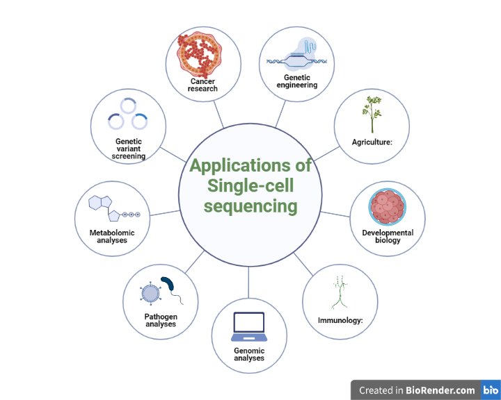 Applications of Single-cell sequencing