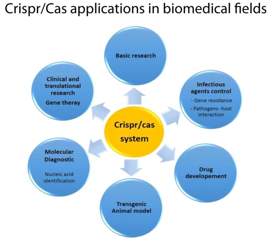 Application of CRISPR-Cas9 in various biomedical fields