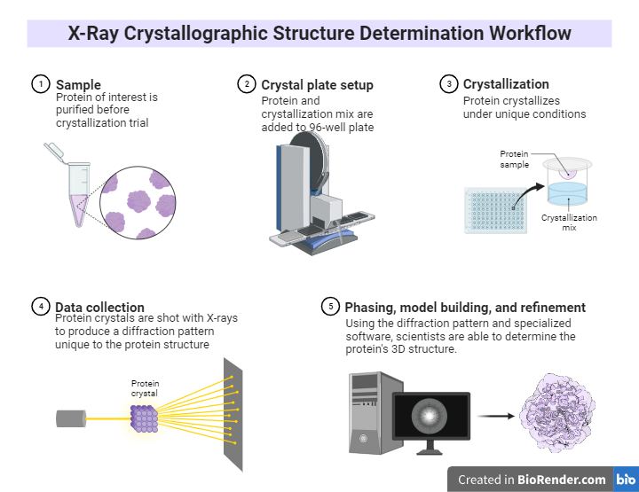 X-Ray Crystallographic workflow of determination of Structure