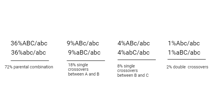 Determination of map distance