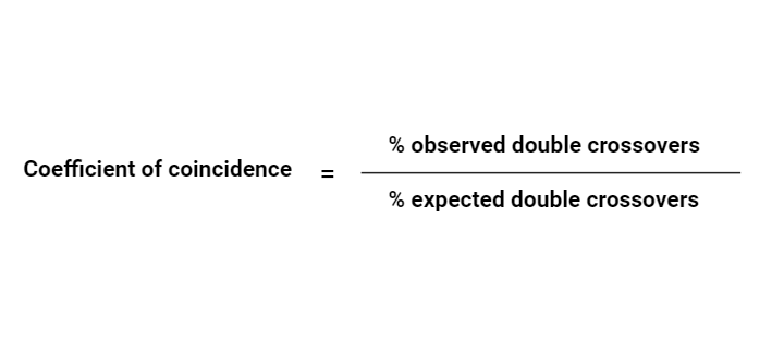 Coincidence  in crossing over