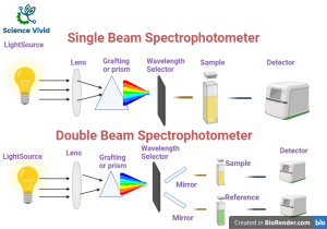 Spectrophotometer: Introduction, Principle, Instrumentation, Types ...