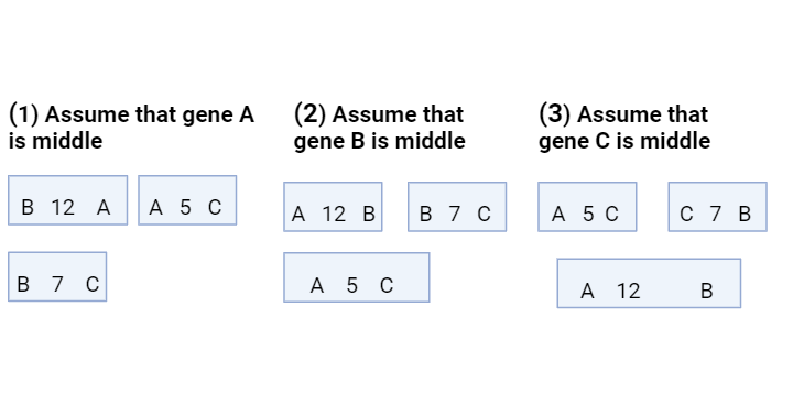 Determination of Gene order