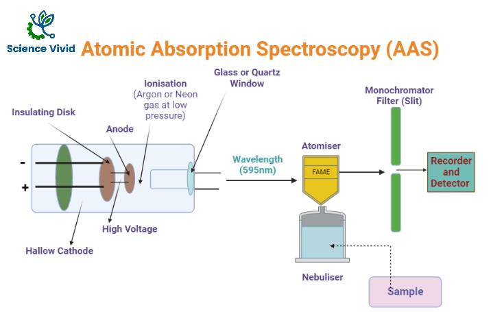 What Is Absorbance Spectroscopy OVMN