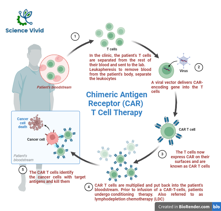 Chimeric Antigen Receptor (CAR)-T Cell Therapy: Introduction ...