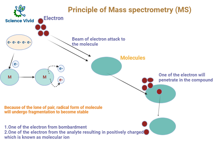 Principle of Mass Spectroscopy(MS)