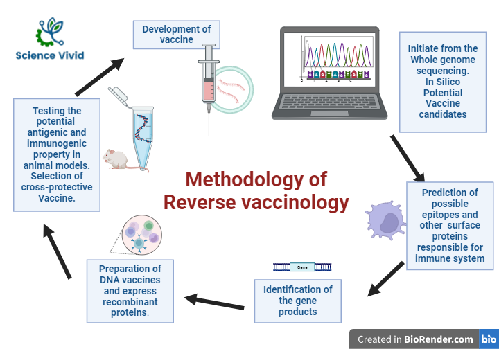 Methodology of Reverse Vaccinology