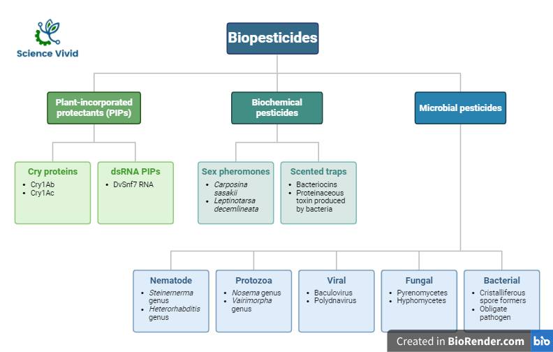 Classification of biopesticides