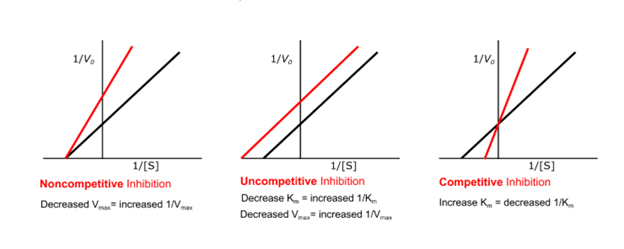 Enzyme kinetics in the presence of the inhibitor (red line) versus without the inhibitor present (black line)