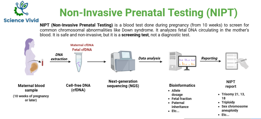 NIPT (Non-Invasive Prenatal Testing)